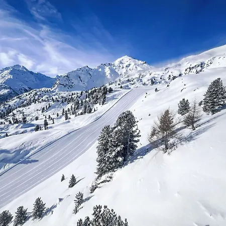 Apartment Bouleaux E 1 By Interhome *